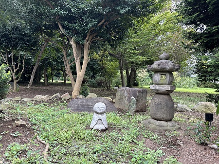ZENSŌの前には小さな森があり、山椒、柚子、柿、花梨などが繁る