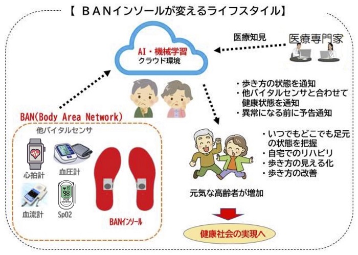 ( (株)レイマック, 2024 )