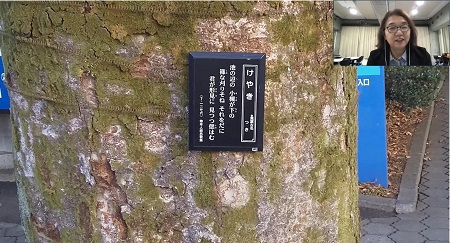 小林教授が萬葉歌プレートを紹介