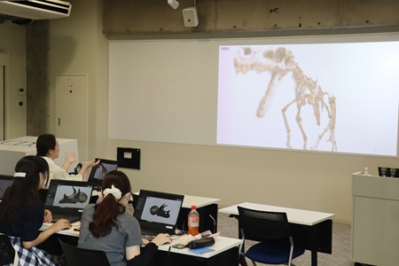 3日目は、作成した3Dモデルをウェブ上に公開。照明を当てたり、迫力を出すためにあえてピントを胴体に当ててみたりと編集に様々な工夫がみられました