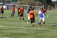 Athletic Competition