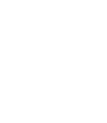 国際交流サポーター数 348人